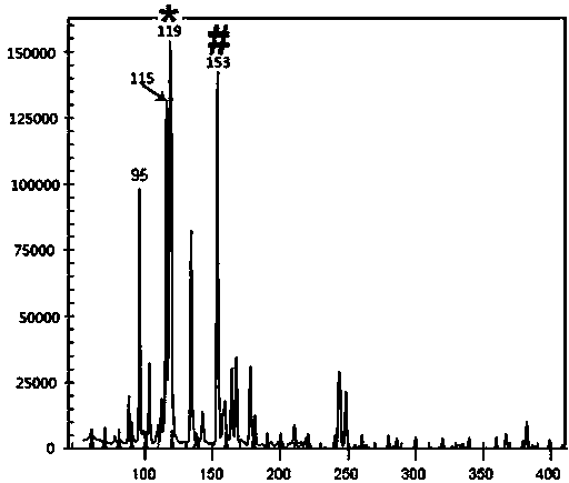 Method for identifying Qianshan No.2, new variety of Erigeron Breviscapus (Vant.)Hand.-Mazz. by utilizing AFLP (amplified fragment length polymorphism)-CE (capillary electrophoresis) technique