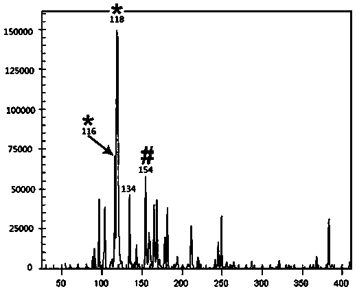 Method for identifying Qianshan No.2, new variety of Erigeron Breviscapus (Vant.)Hand.-Mazz. by utilizing AFLP (amplified fragment length polymorphism)-CE (capillary electrophoresis) technique