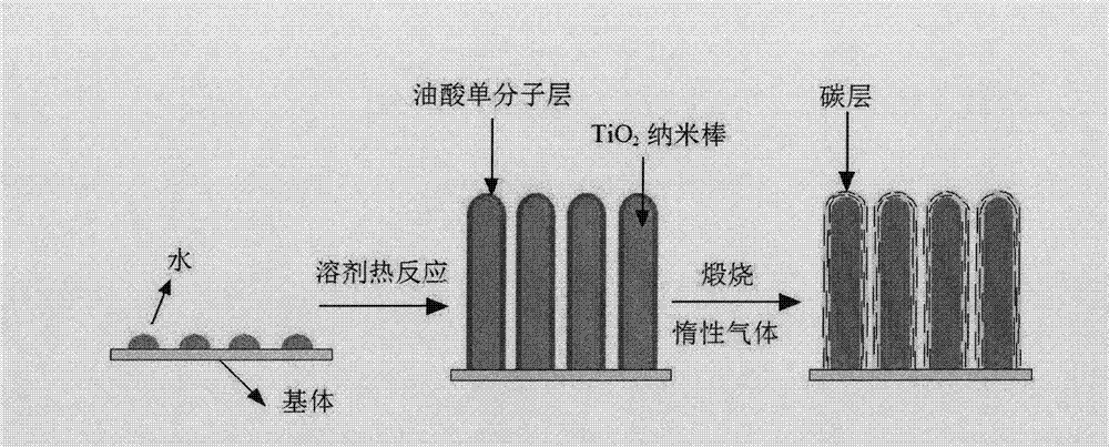 TiO2 nuclear shell structure nano rod array coated with carbon bed and preparation method thereof
