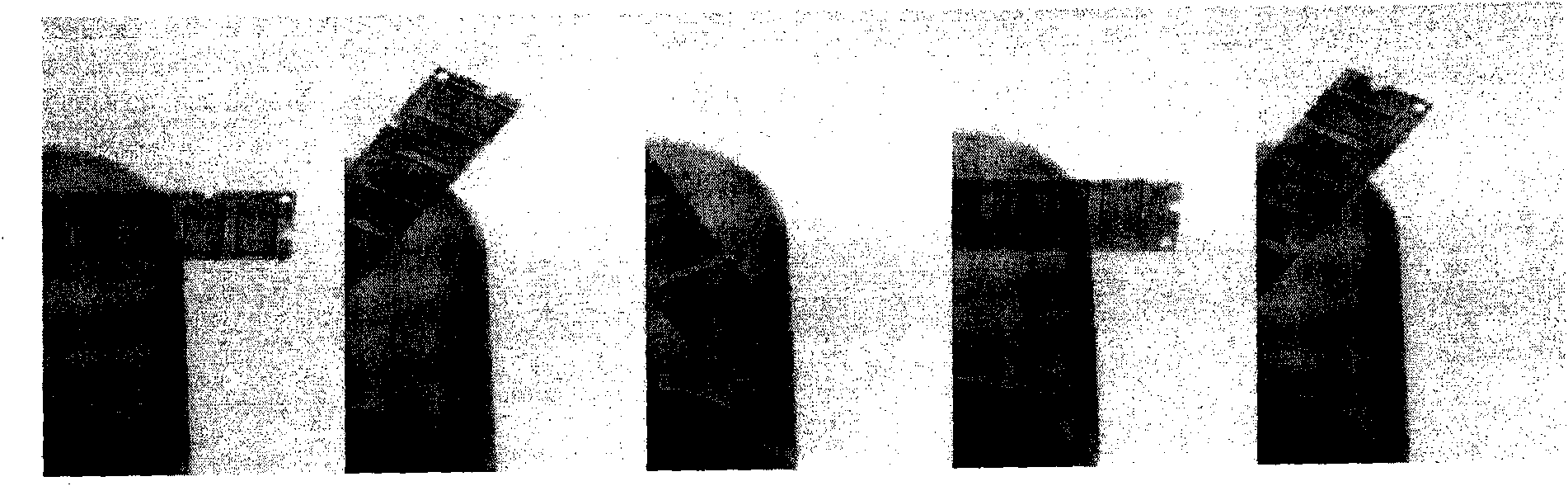 Wide visual field cone-beam X ray oblique scanning three-dimension digital imaging method based on algebraic reconstruction algorithm