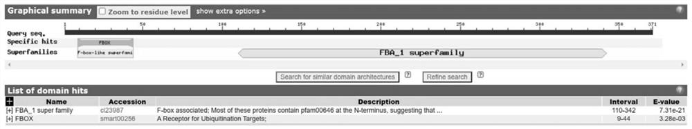 Cleistogamy character regulation gene BnaC03. FBA, floral organ specific expression promoter PFBA and application thereof