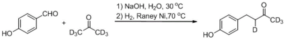 Synthesis method for deuterium marked ractopamine