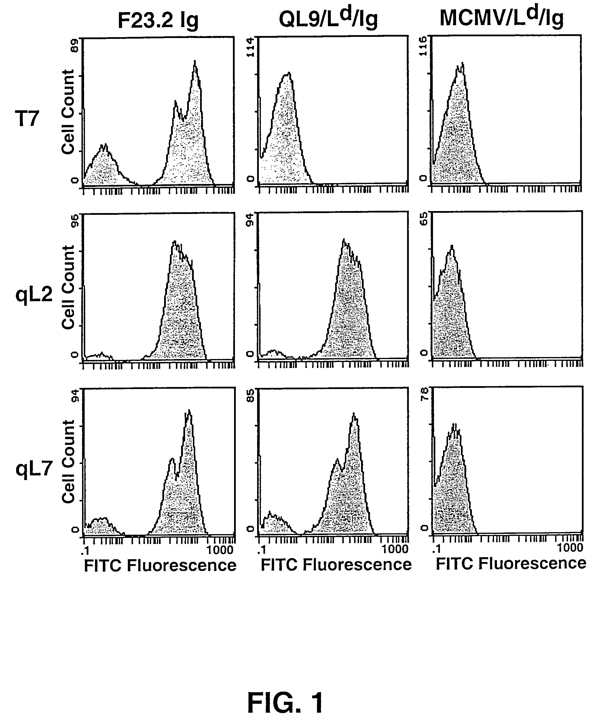 High affinity TCR proteins and methods