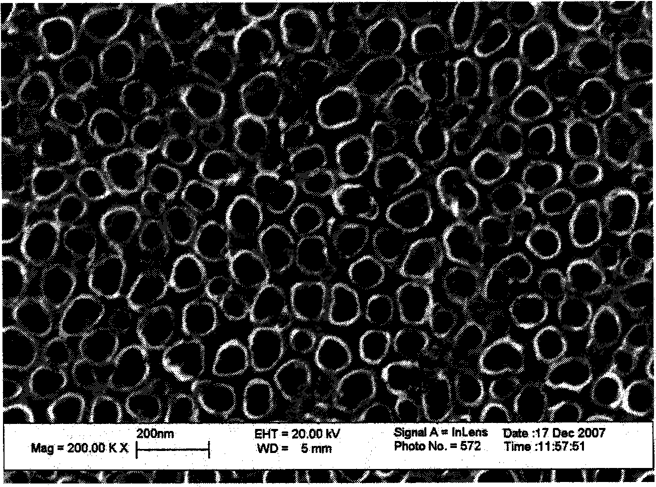 Preparation method and application of Fe-doped nanotube array membrane