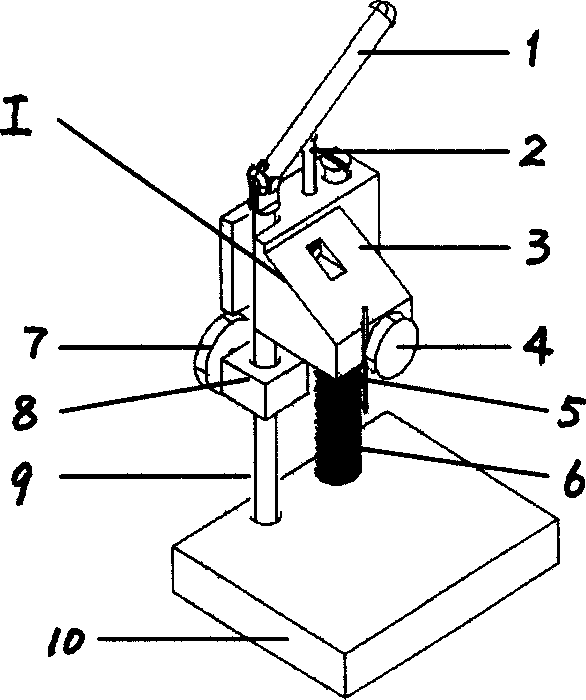 Process for preparing tissue chips and apparatus thereof