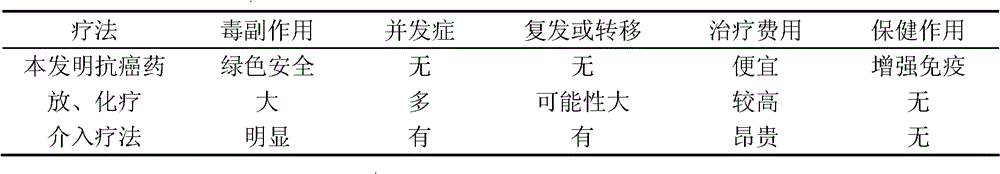 Anticancer drug, as well as preparation method and application of same