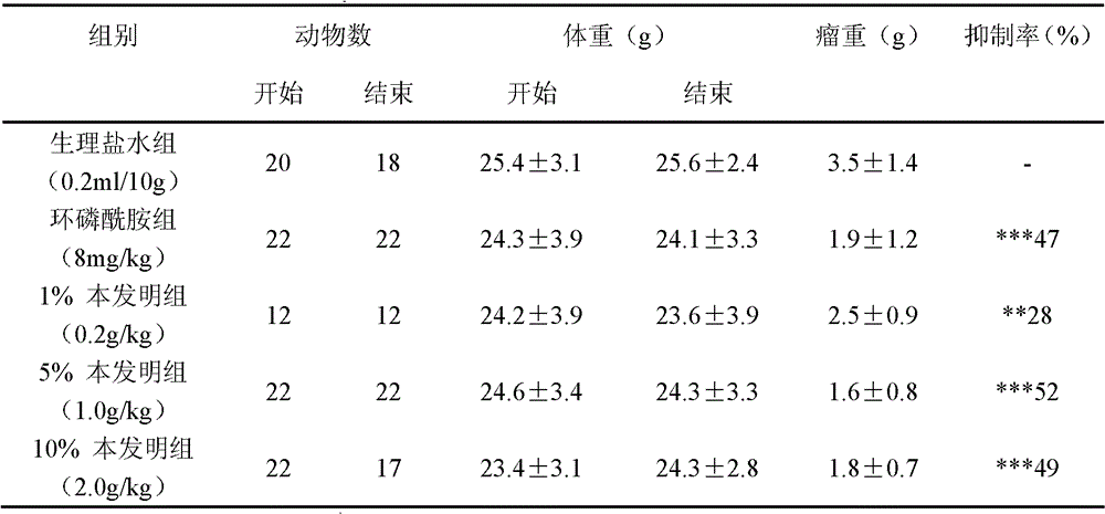 Anticancer drug, as well as preparation method and application of same