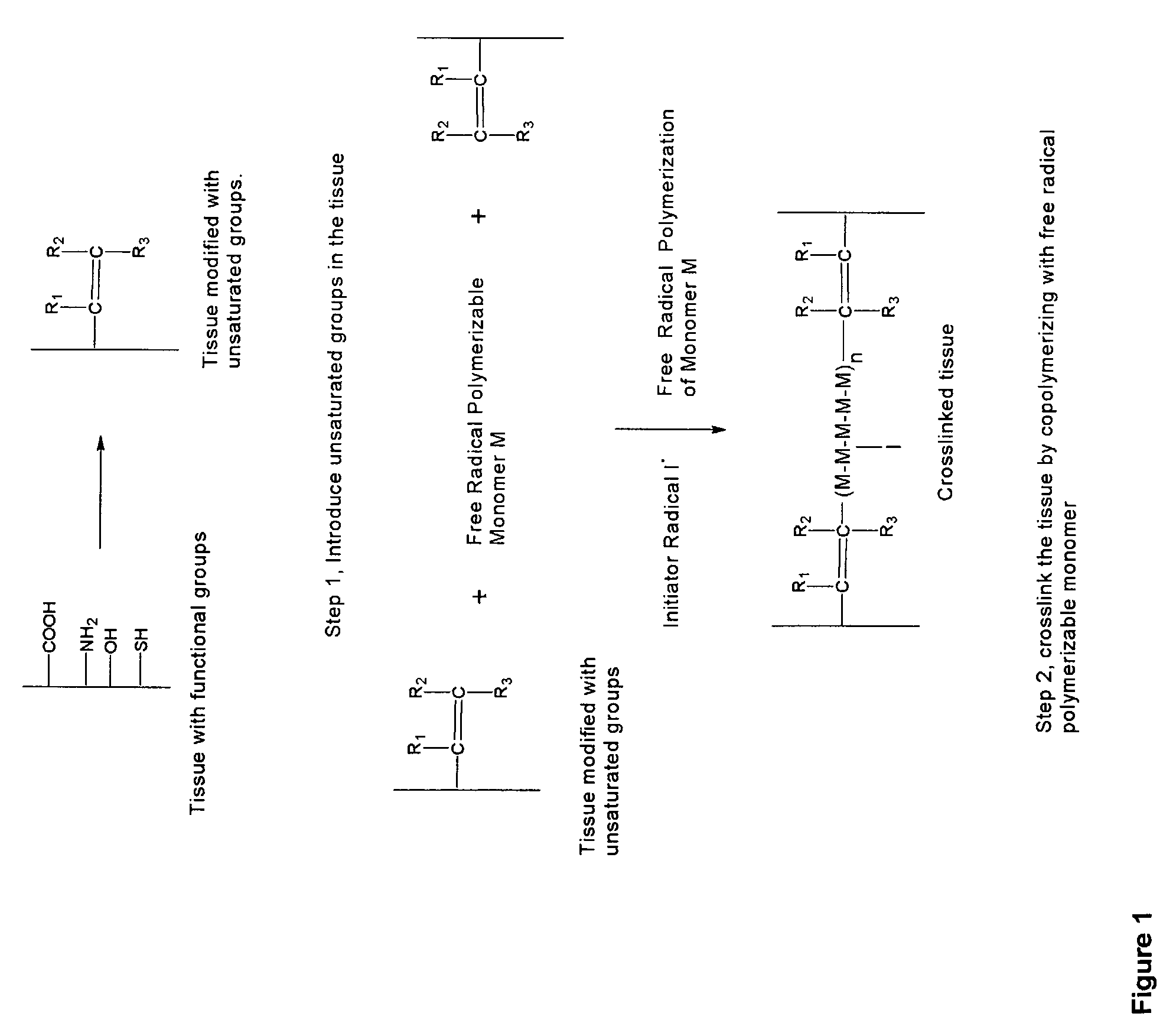 Implantable tissue compositions and method