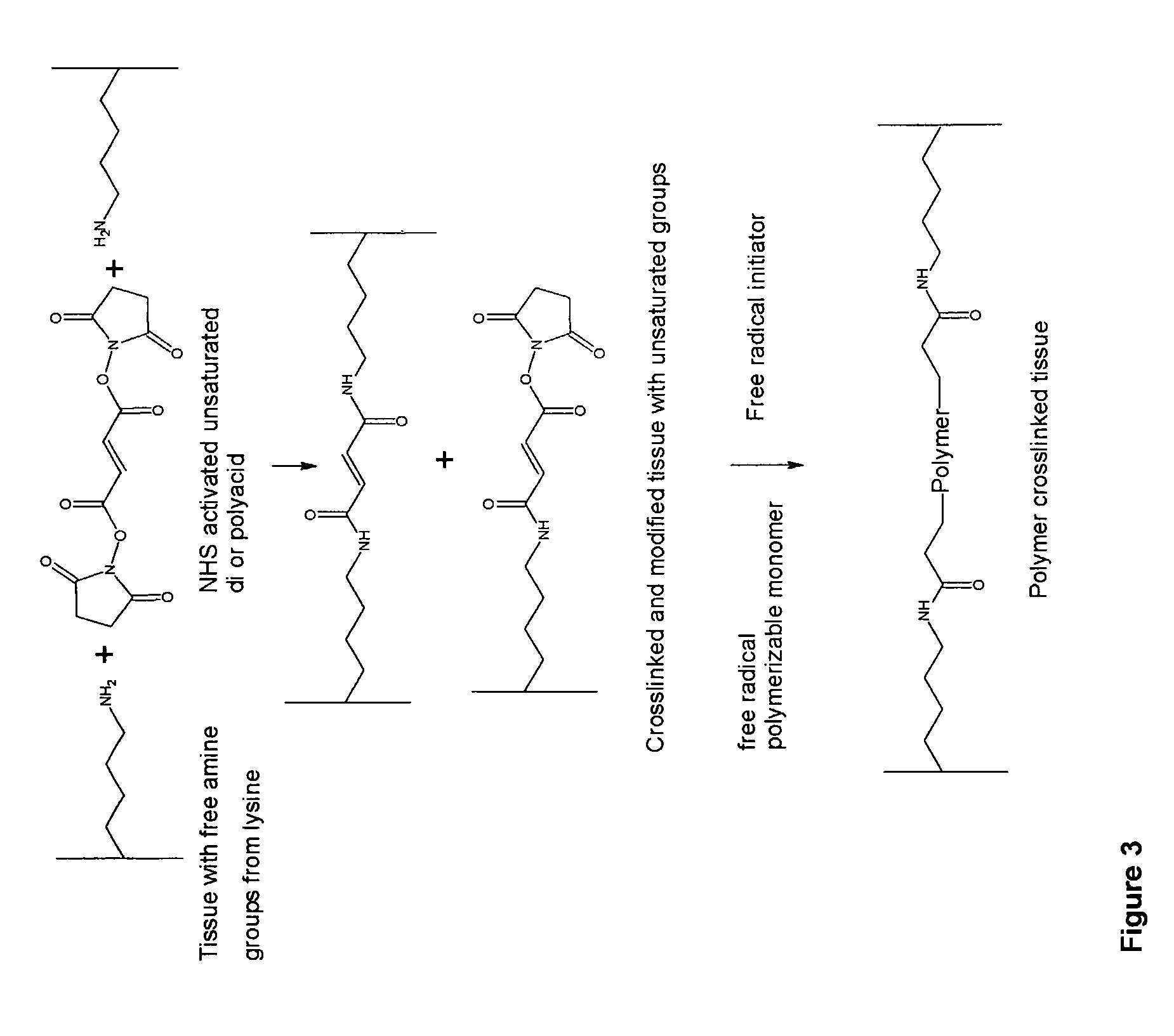 Implantable tissue compositions and method