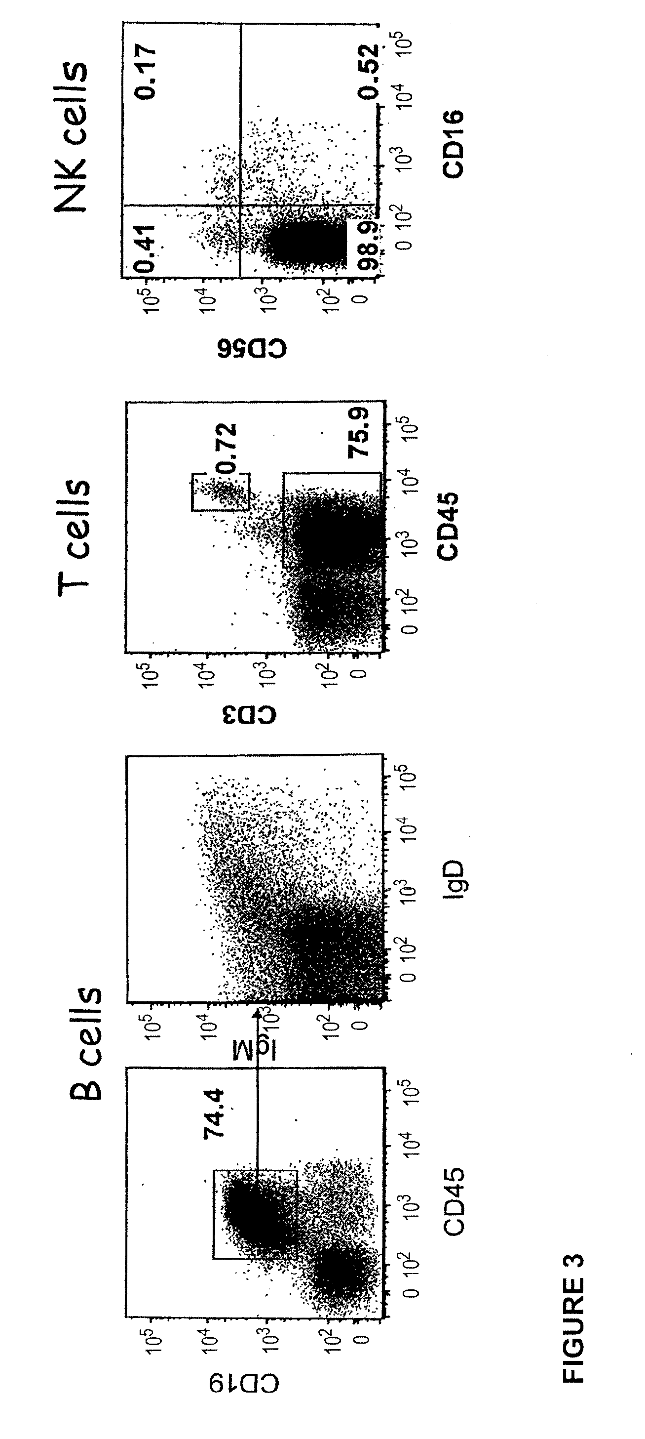 Transgenic Immunodeficient Mouse Expressing Human SIRP-alpha