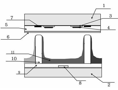 Method for manufacturing front panel of plasma display screen