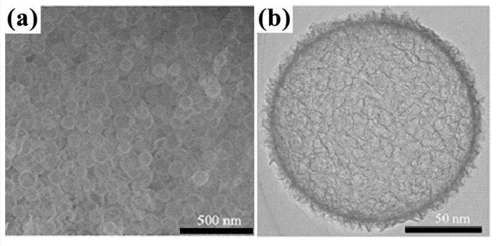 Carbon-sulfur composite material used for positive pole of lithium-sulfur battery and preparation method of material
