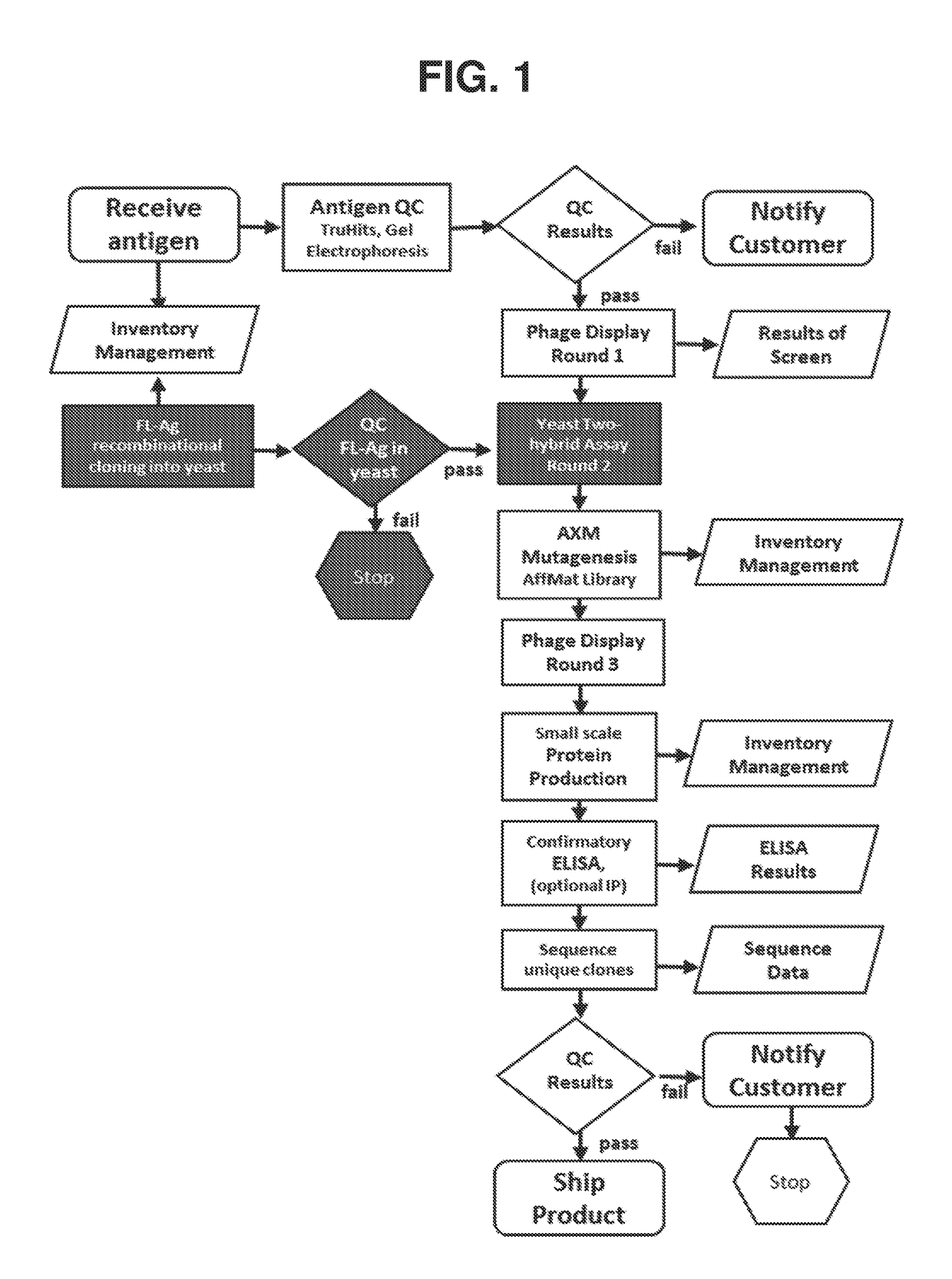 Methods of identifying and validating affinity reagents