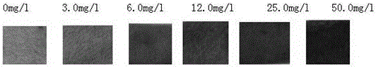 A kind of rapid detection test paper of trace chromium and preparation method thereof