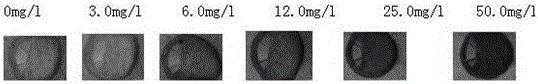 A kind of rapid detection test paper of trace chromium and preparation method thereof