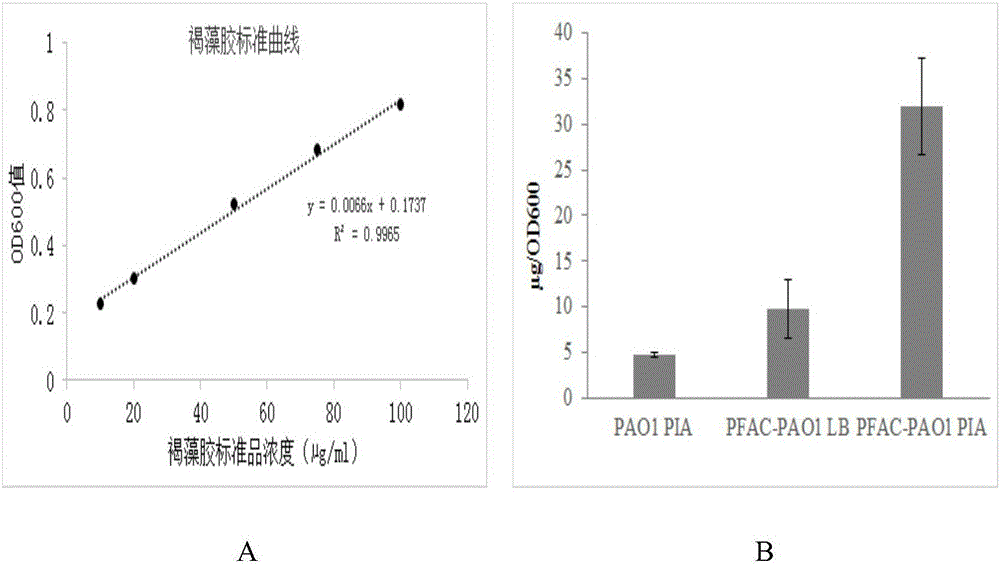 Microorganism-derived algin and preparation and application thereof