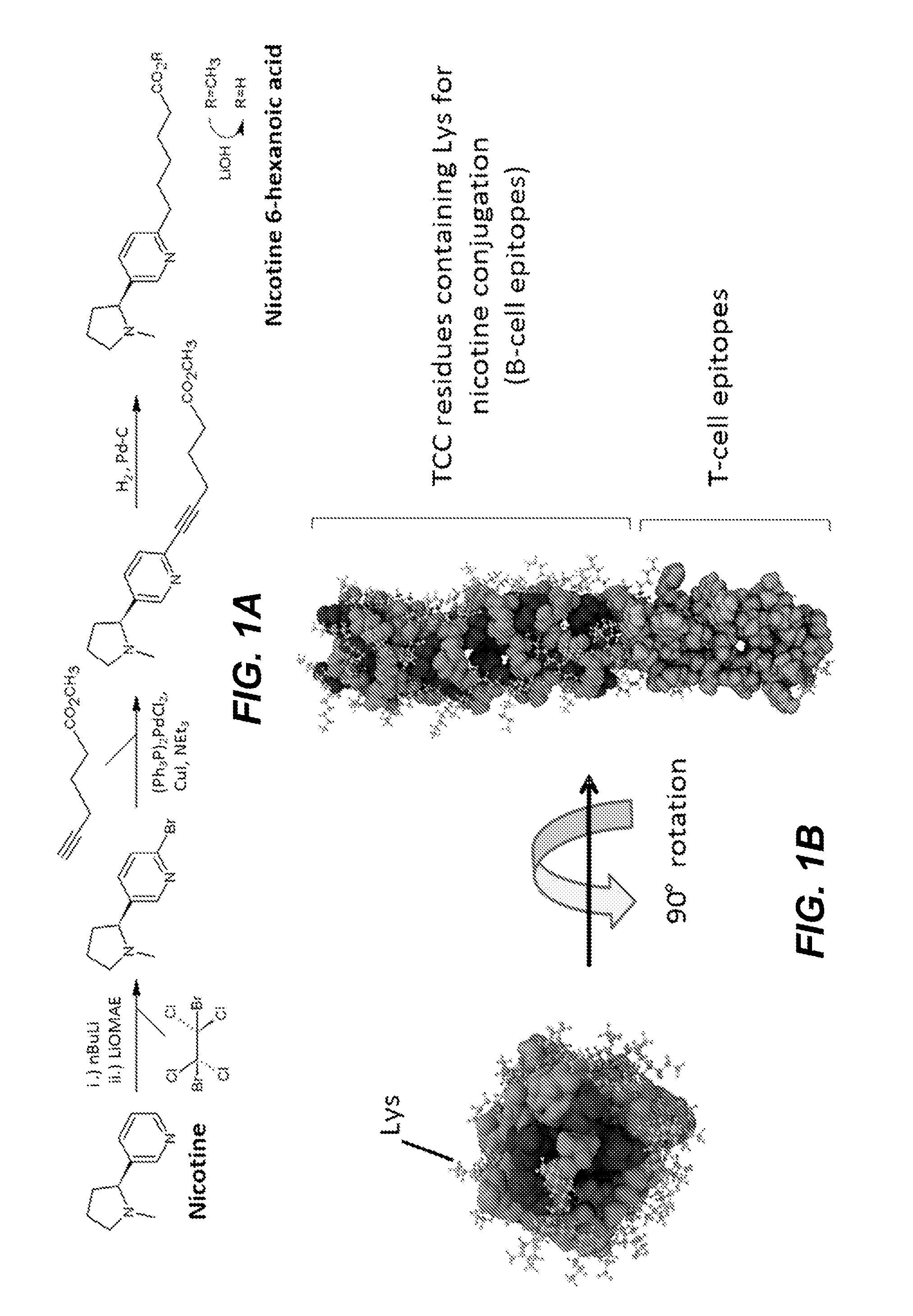 Synthetic hapten carrier compositions and methods