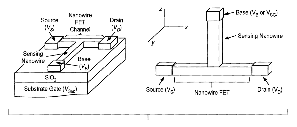 Nanowire field-effect transistor biosensor with improved sensitivity