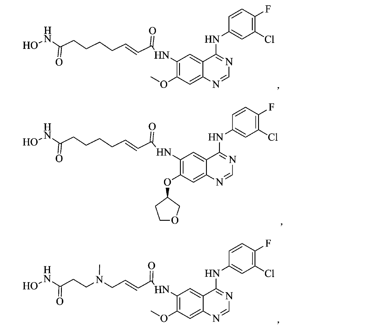 Zinc binding group-containing irreversible EGFR tyrosine kinase inhibitor