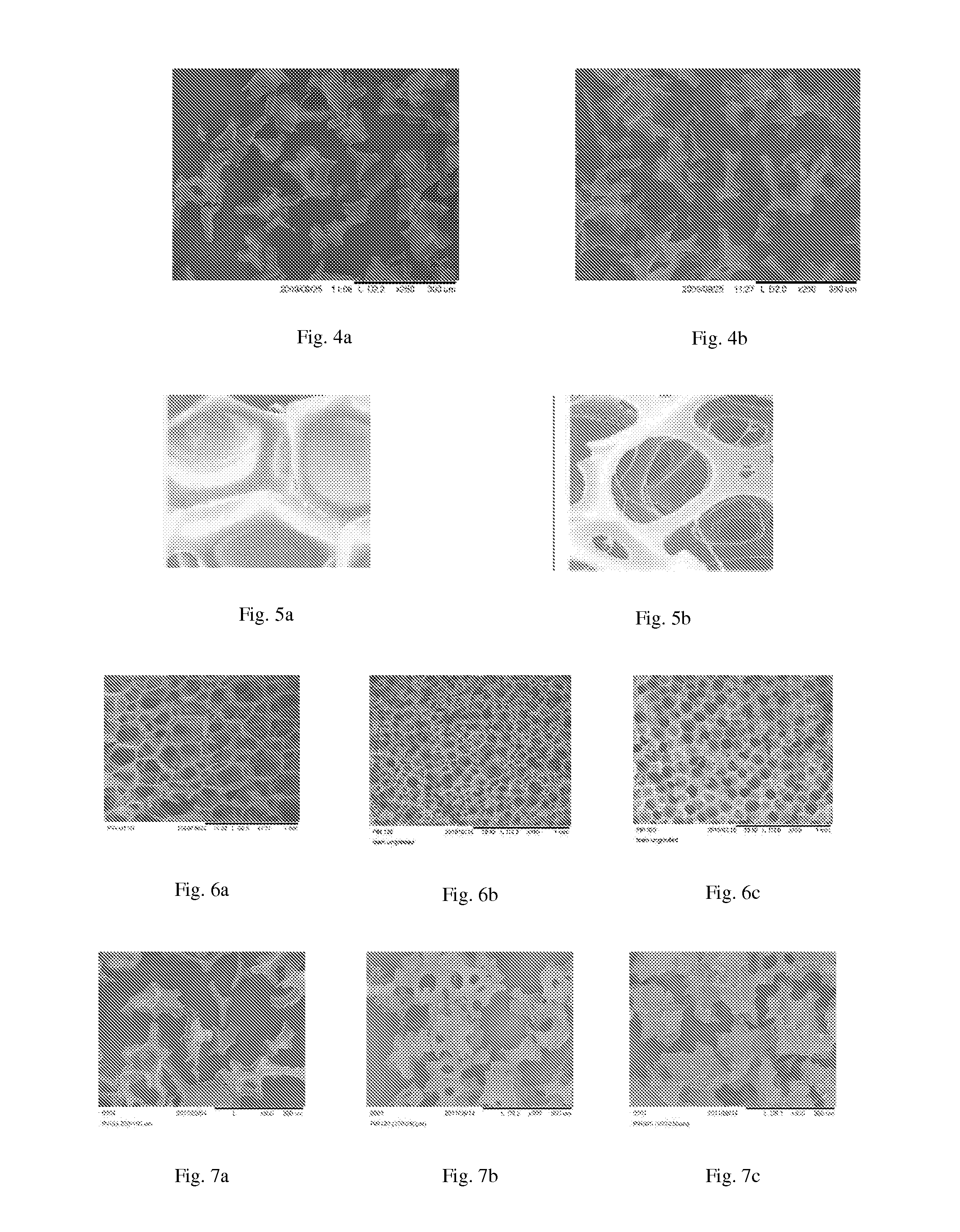 Liquid detergent composition with abrasive particles