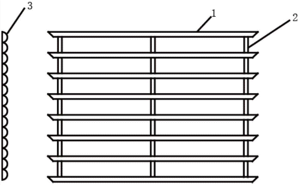 Culture method and culture apparatus for common nostoc