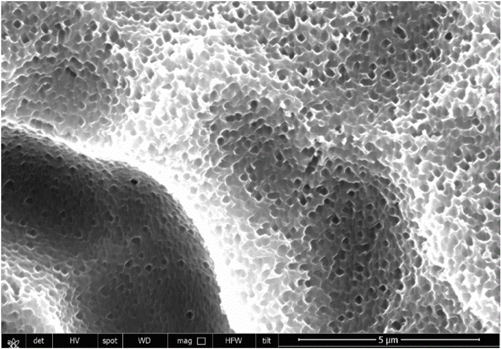 One-step wet black silicon preparation and surface treatment method
