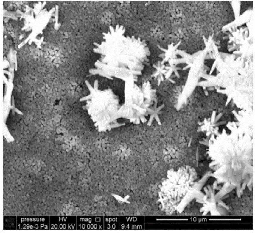 Silver-containing fluorhydroxyapatite coating, and preparation method and application of coating
