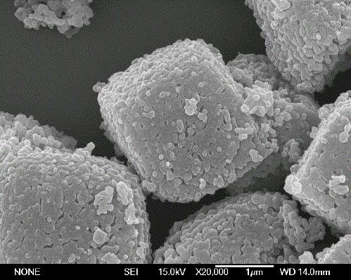 Preparation method of cubic micro-nano composite structure cobalt manganese oxide denitration catalyst