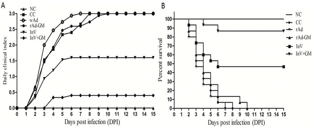 Method for improving immune effect of newcastle disease inactivated vaccine by utilizing adenovirus for expressing GM-CSF (granulocyte macrophagecolony stimulating factor) and kit