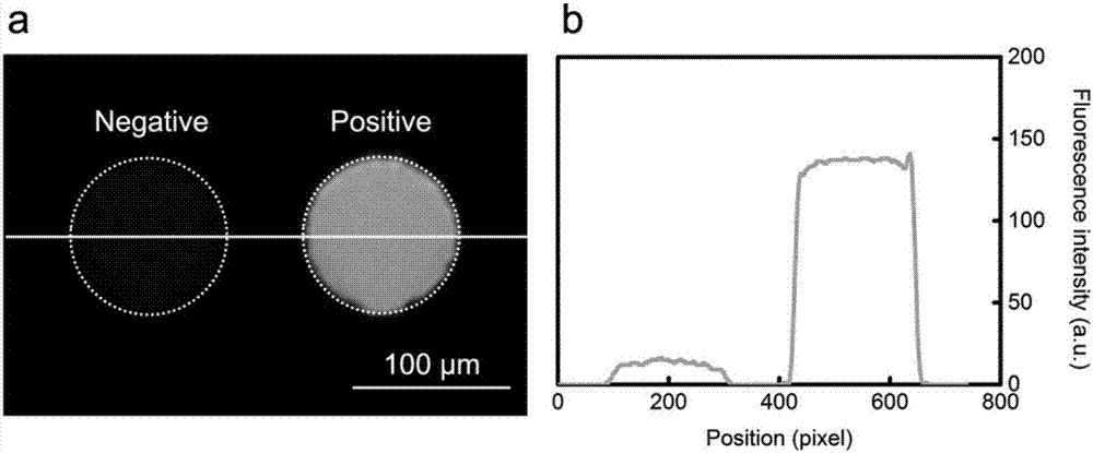 PDMS material-based microchamber array type digital PCR chip