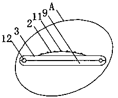 Insole with deodorization function and capable of preventing flat feet