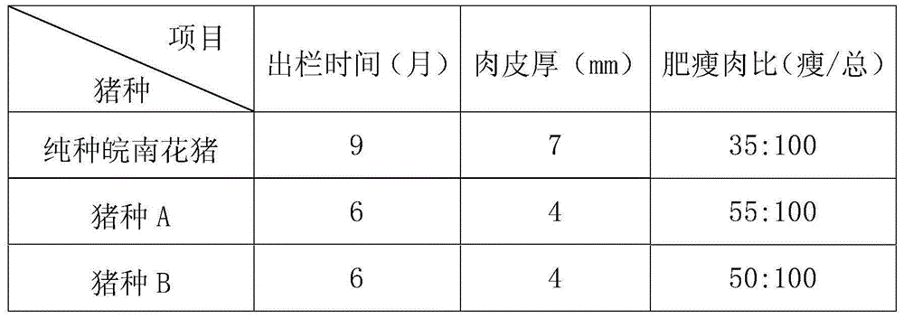 A kind of improvement method of southern Anhui Hua pig