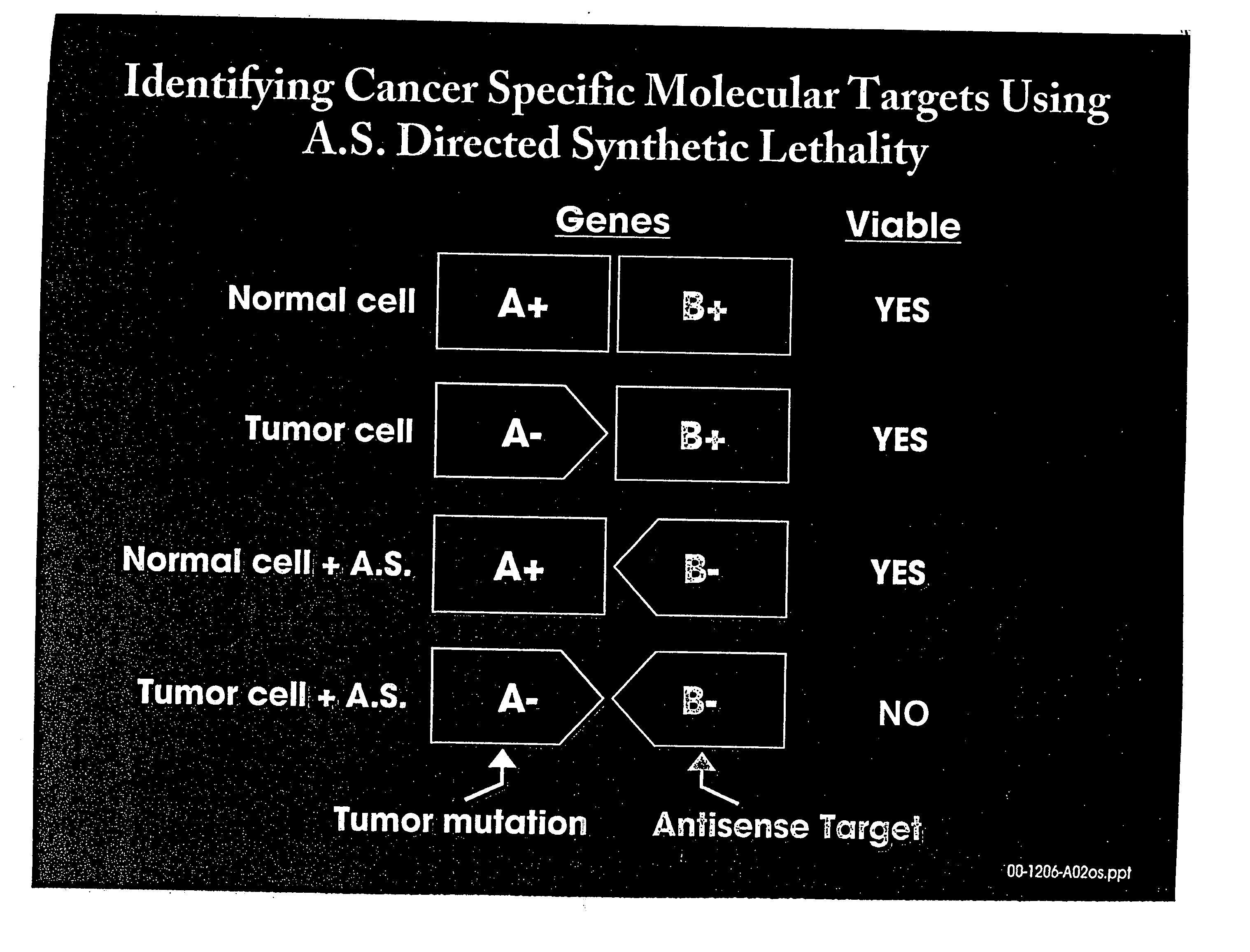 Use of antisense oligonucleotide libraries for identifying gene function