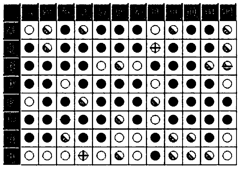 A denitrifying paracoccus and method for producing single-cell protein in high ammonia nitrogen wastewater treatment