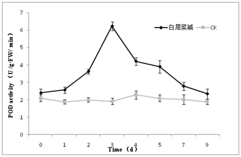 Application of chelidonine for preparing plant inducer and plant inducer