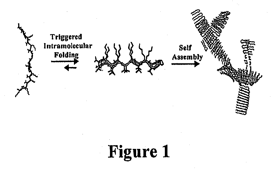 Novel hydrogels and uses thereof