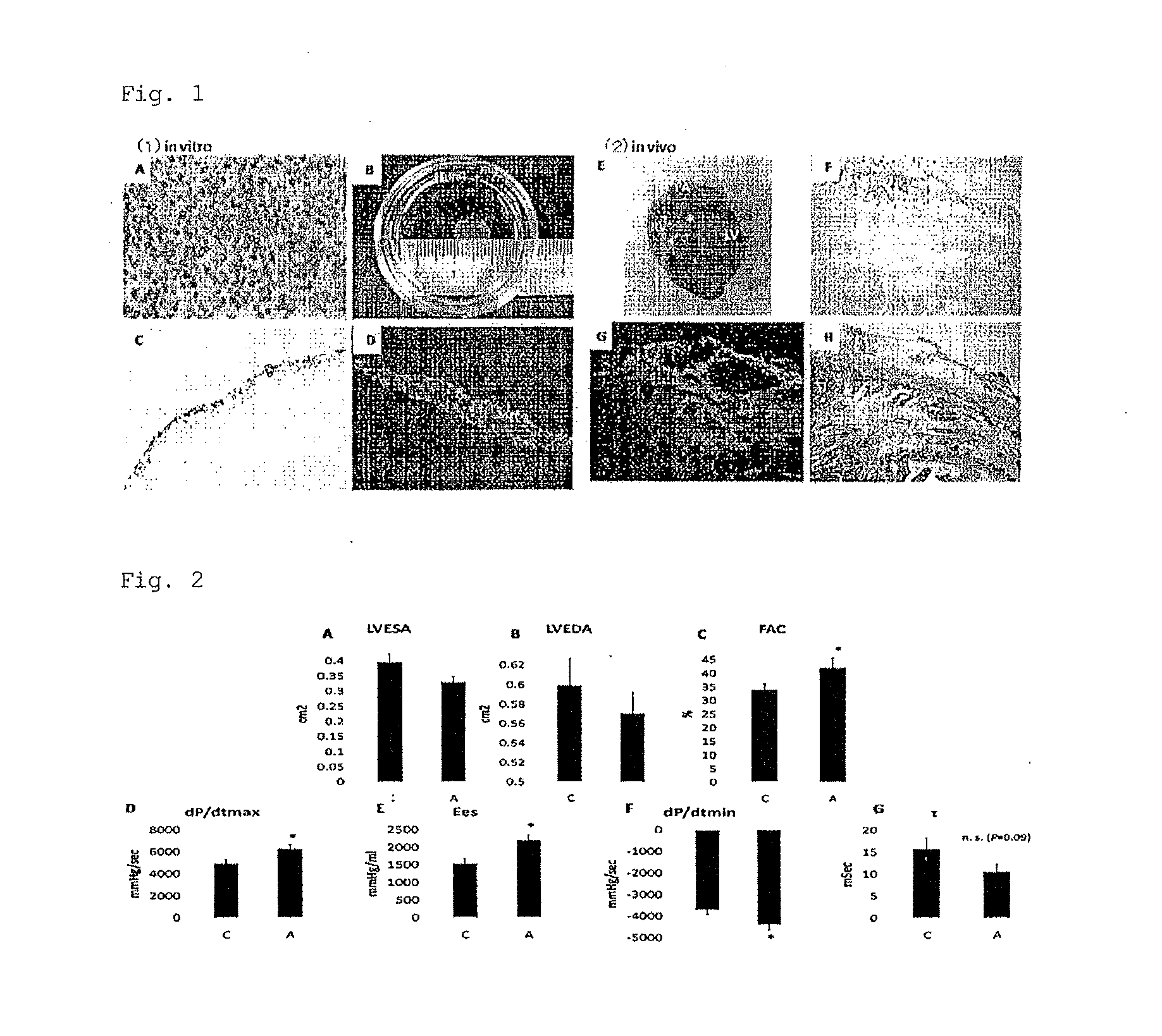 Adipocyte sheet, three-dimensional structure thereof, and method for producing the same