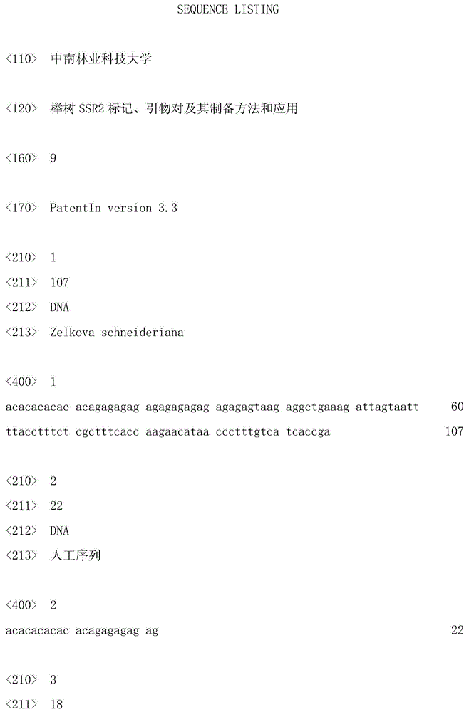 Beech ssr2 marker, primer pair, preparation method and application thereof