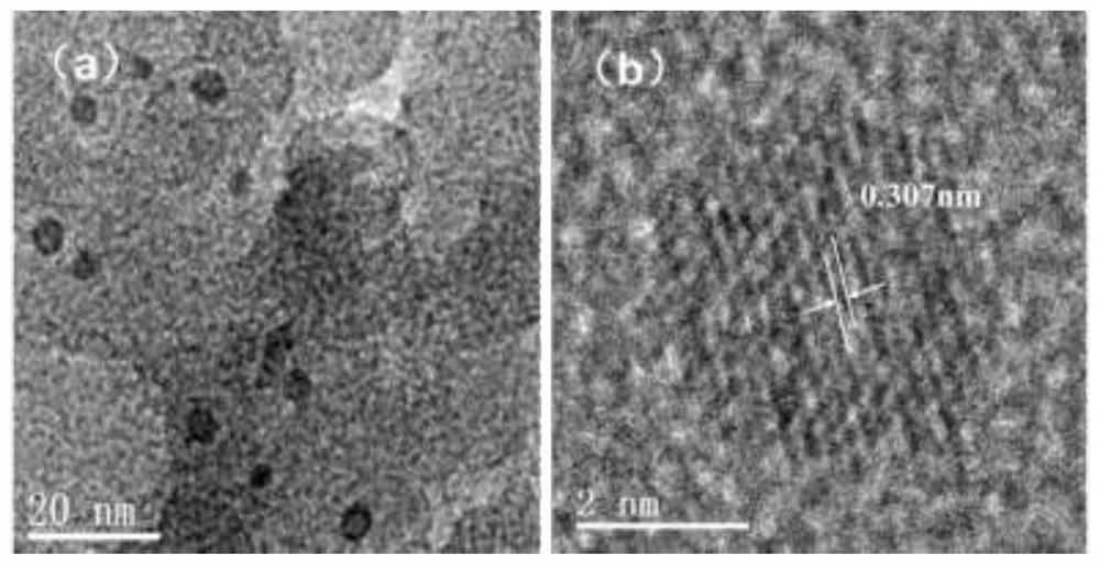A device and method for large-scale continuous preparation of metal nanoparticles