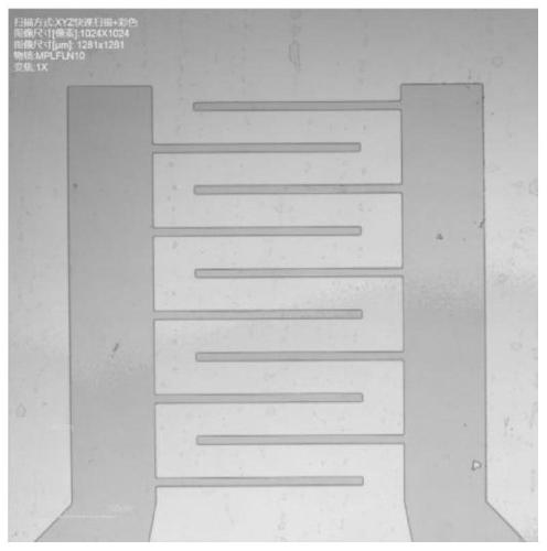 Device and method for digital holographic flexibility measurement based on optical fiber bundle