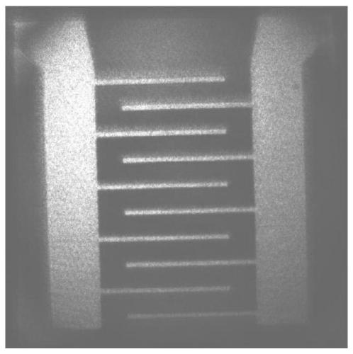 Device and method for digital holographic flexibility measurement based on optical fiber bundle