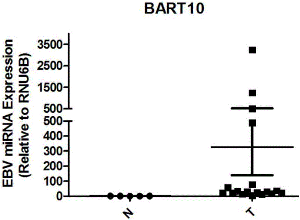 Application method of EB virus encoded microRNA BART10