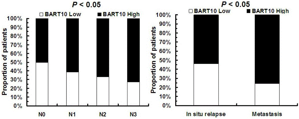Application method of EB virus encoded microRNA BART10