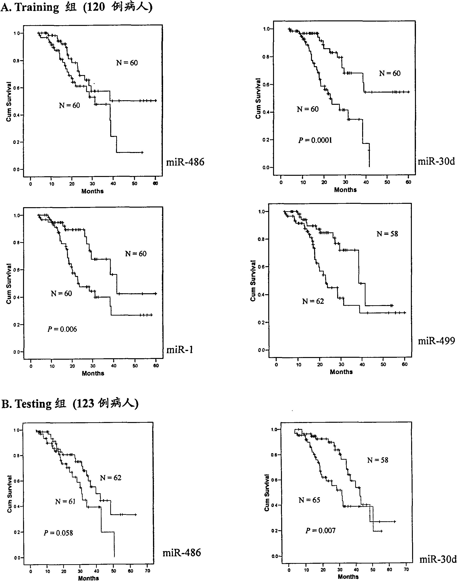 Blood serum/blood plasma miRNA marker related to non-small cell lung cancer (SCLC) prognosis and application thereof
