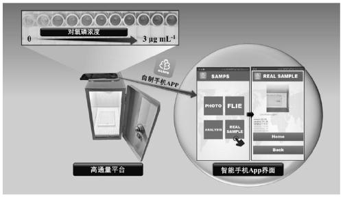 Target response type hydrogel and smart phone integrated on-site quantitative organophosphorus pesticide detection platform