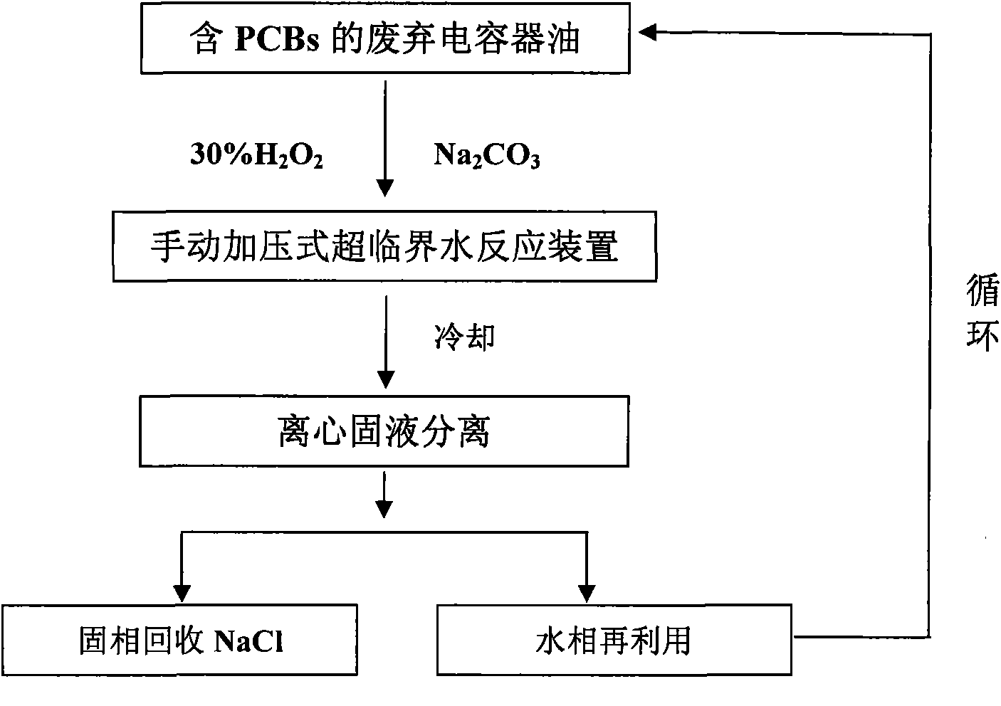 Technical process for supercritical water treatment of polychlorinated biphenyls (PCBs) waste and complete plant thereof