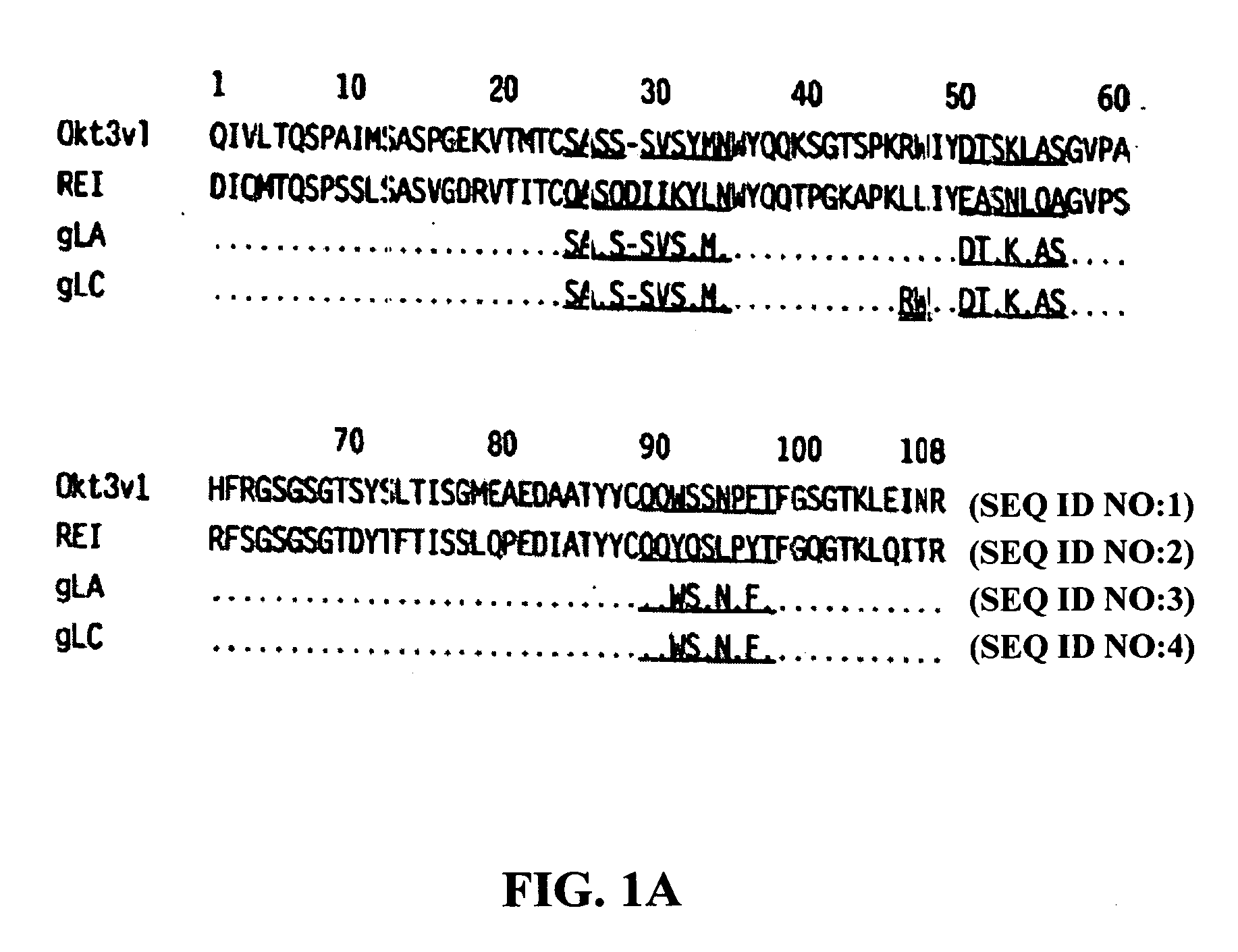 Methods for the treatment of autoimmune disorders using immunosuppressive monoclonal antibodies with reduced toxicity