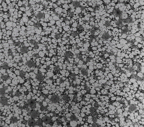 al  <sub>3</sub> ti  <sub>p</sub> Preparation Method of Powder Thixomorphing of Al-Based Self-Growing Composite Materials