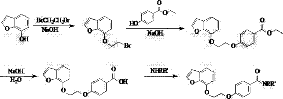 Benzofuran compound and medical application thereof
