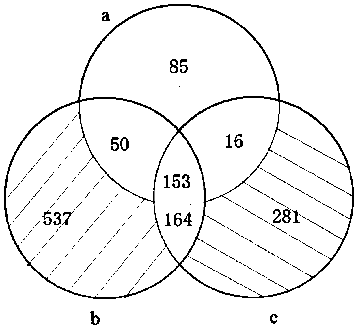 Method for evaluating ecotoxicological impact of microplastics